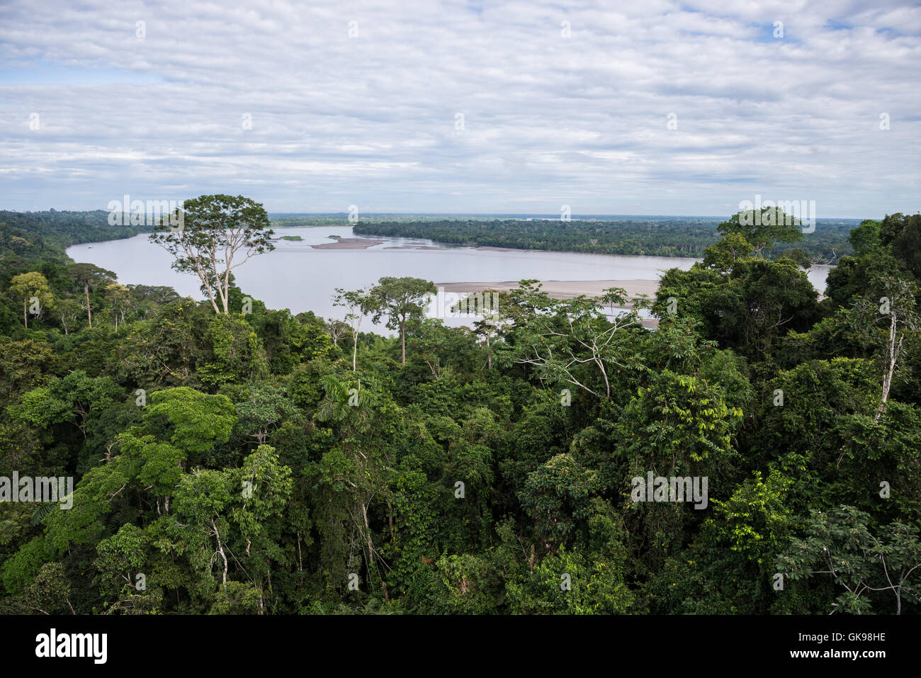 El dosel del bosque lluvioso y Río Napo en el Amazonas. Parque Nacional Yasuní, Ecuador, América del Sur. Foto de stock