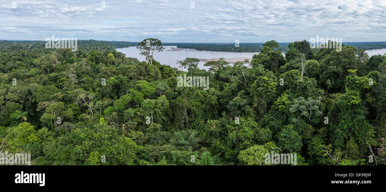 Vista panorámica del dosel del bosque lluvioso y Río Napo en el Amazonas. Parque Nacional Yasuní, Ecuador, América del Sur. Foto de stock