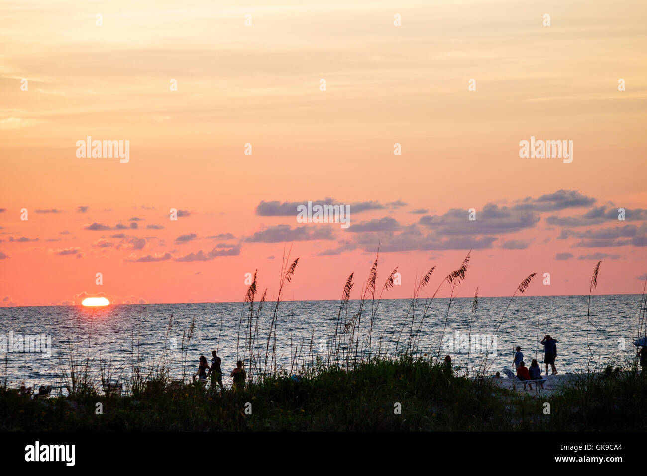 Florida Golfo de México, Costa del Golfo, Anna Maria Island, Bradenton Beach, frente al mar, puesta de sol, avena, puesta de sol, sol, horizonte, nubes, cielo naranja, silueta, FL1 Foto de stock
