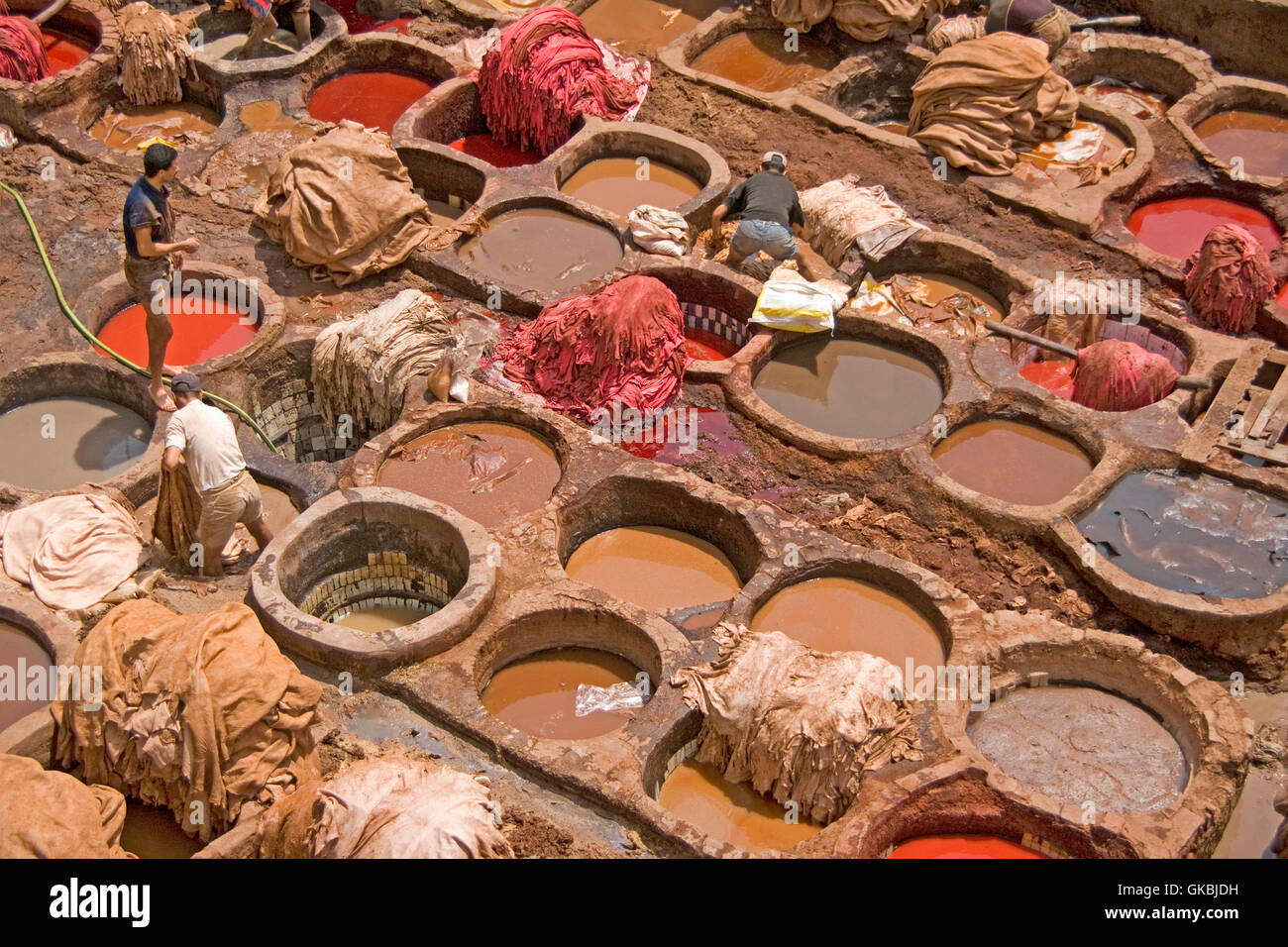 Los trabajadores en cubas de tintura ocultar animal a ser hecha en zapatillas (babouche) al famoso curtiembres de Fes, Marruecos. Foto de stock