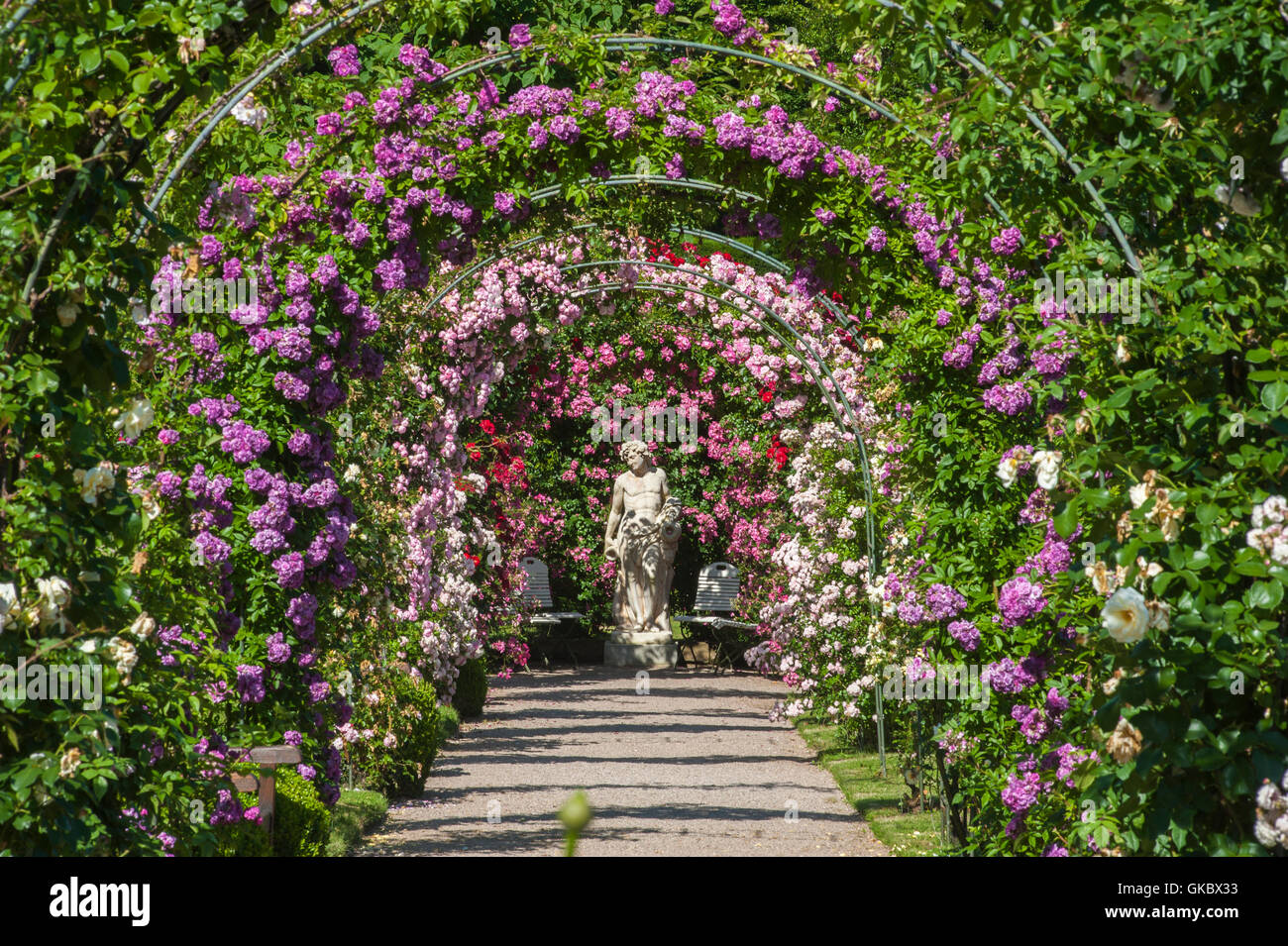 Rose Garden noticias,baden-baden Foto de stock