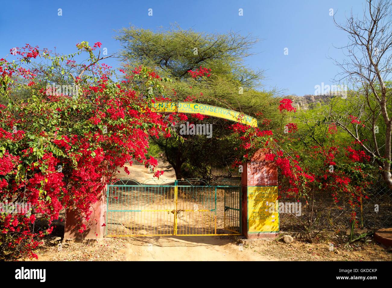 La pequeña puerta de entrada, el Parque nacional de Ranthambore, Rajastán, India, Asia Foto de stock