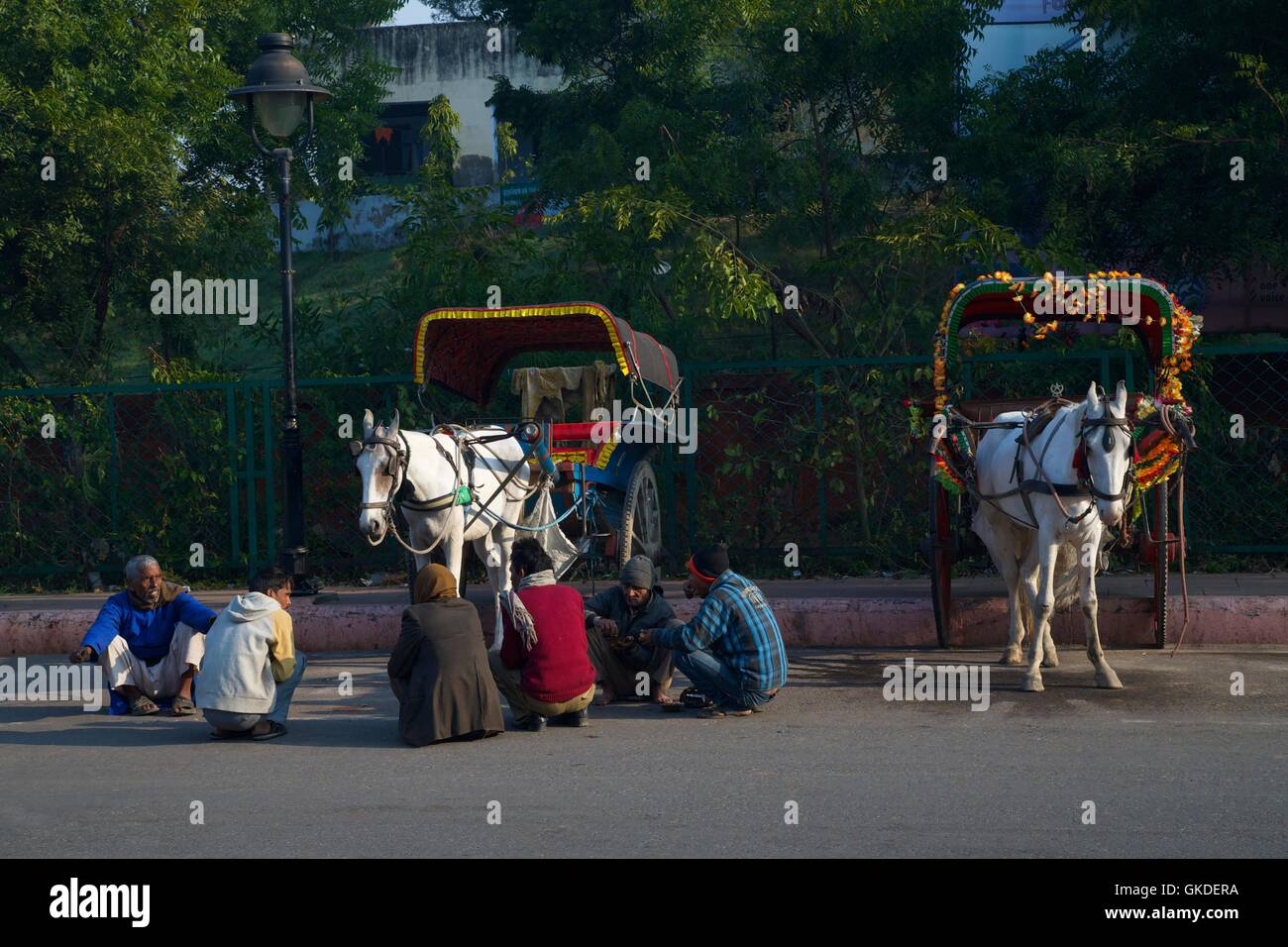 Los conductores de los carros tirados por caballos, Agra, Uttar Pradesh, India, Asia Foto de stock