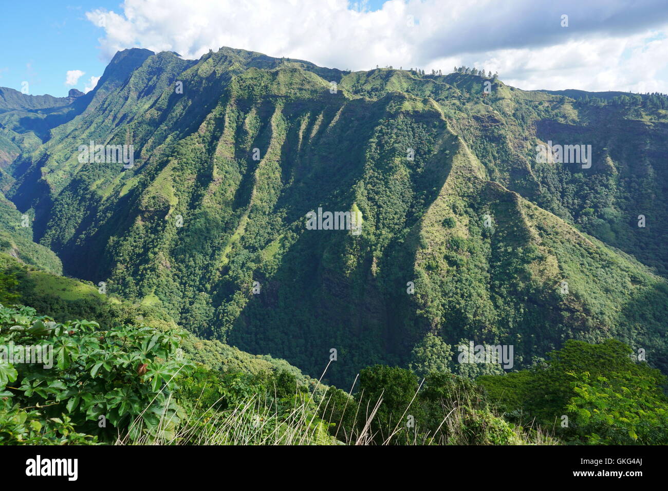 Paisaje de montaña en la isla de Tahití, el valle Tuauru en Mahina con el monte Aorai, Polinesia Francesa Foto de stock