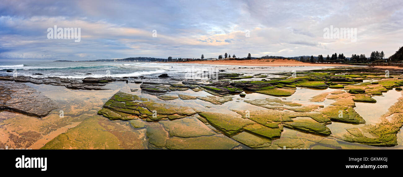 Panorama de las playas del norte de Sydney - Collaroy playa al amanecer. Marea baja abrió fondos marinos con plantas del mar cerca del lago Narrabeen Foto de stock