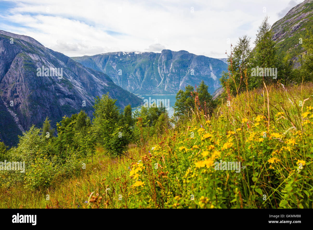 Hermoso y colorido paisaje en Hardanger Foto de stock