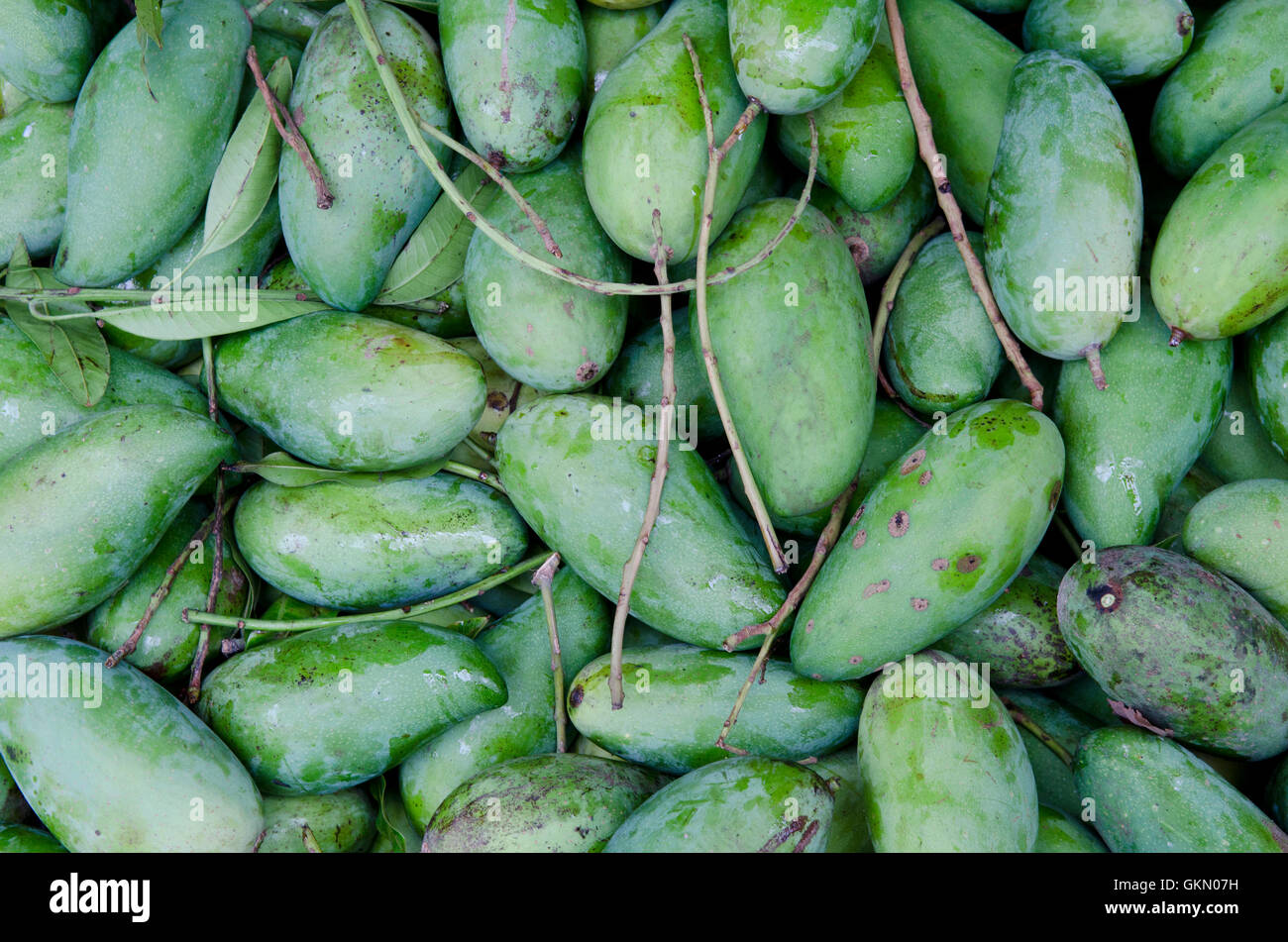 Mercado de mango fotografías e imágenes de alta resolución Alamy
