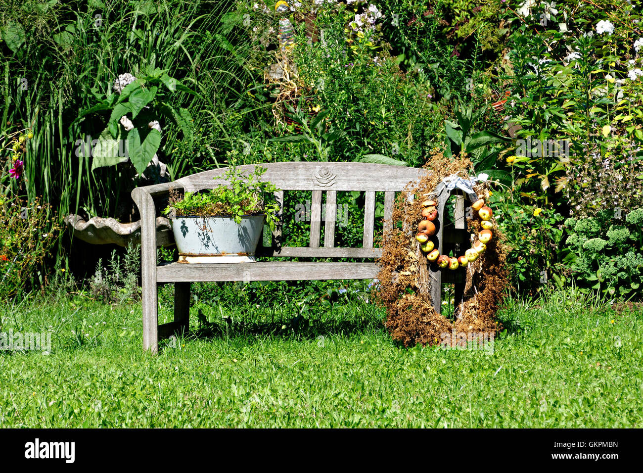 Jardín de la banqueta del asiento de madera vieja con manzanas y decoración vegetal Foto de stock