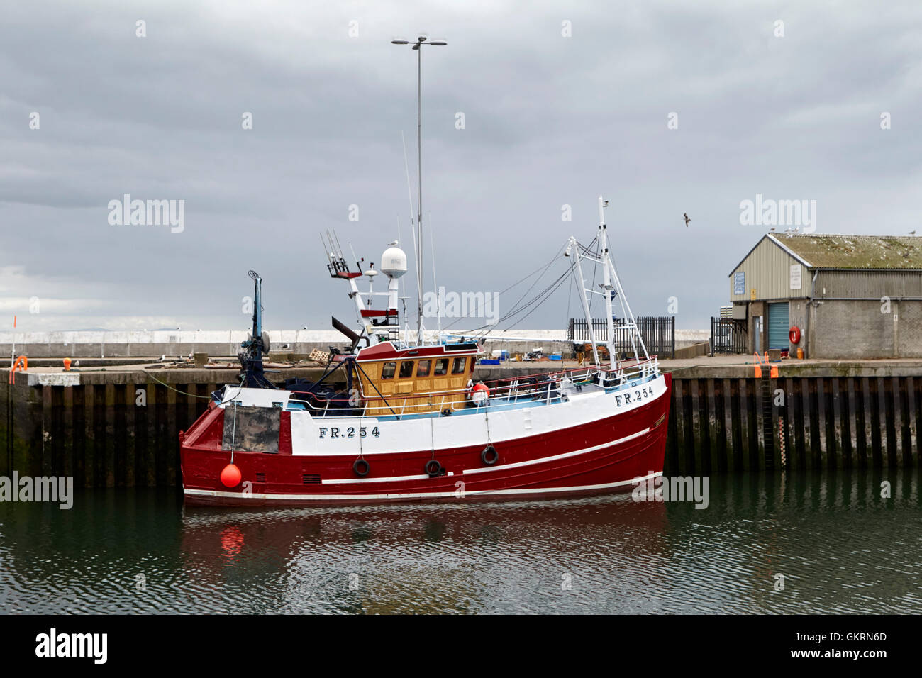 Arrastreros de pesca registrados fraserburgh deliverance atracado en el puerto portavogie IRLANDA DEL NORTE Foto de stock