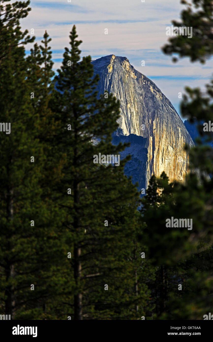 Esta es una vista vertical del Half Dome en el sol de la tarde en el Parque Nacional Yosemite, California, EE.UU. Foto de stock