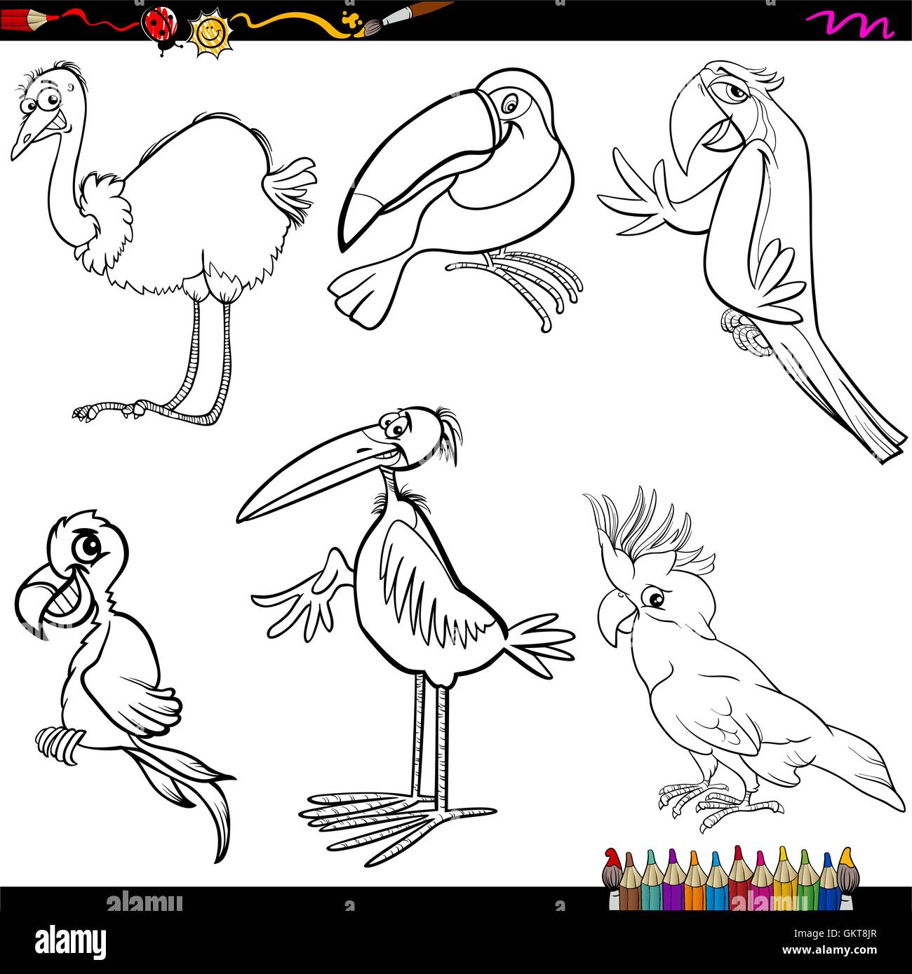 Página para colorear dibujos animados de aves Imagen Vector de stock - Alamy