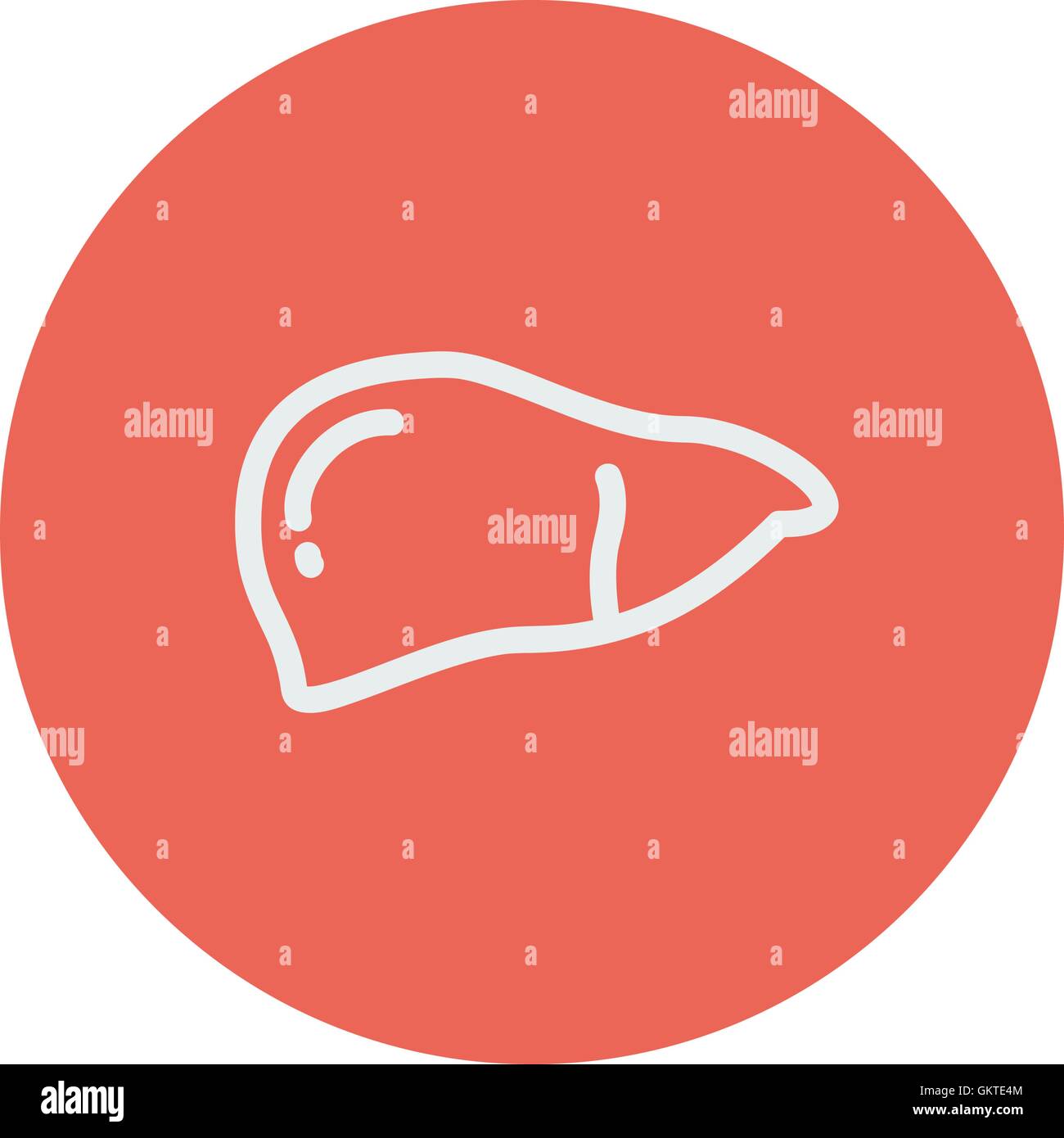 Icono de línea fina de hígado humano Ilustración del Vector