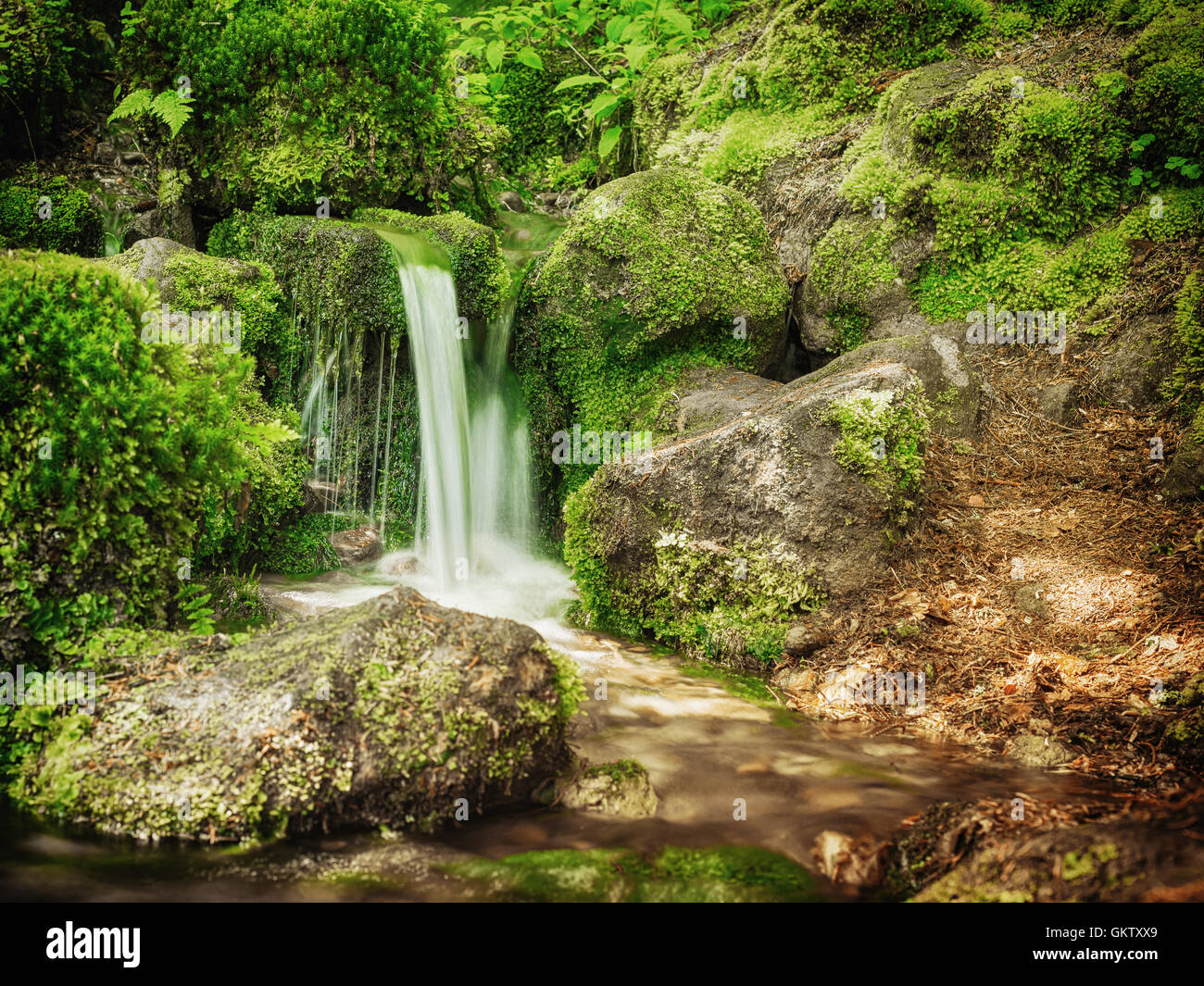 Pequeña cascada - diseño del paisaje Foto de stock