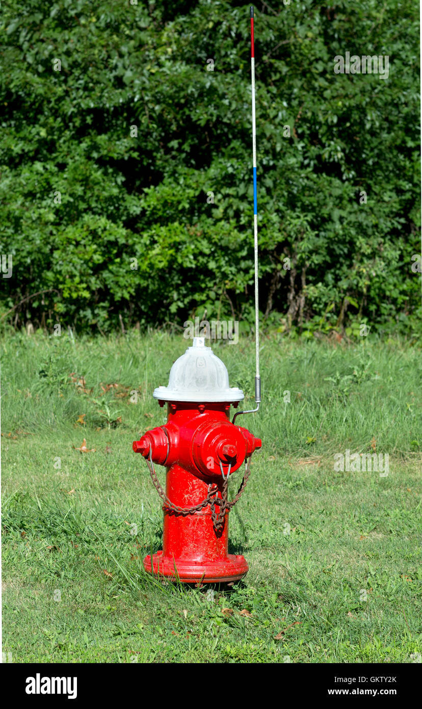 Hidrante roja rural en el césped junto a una carretera rural. Foto de stock
