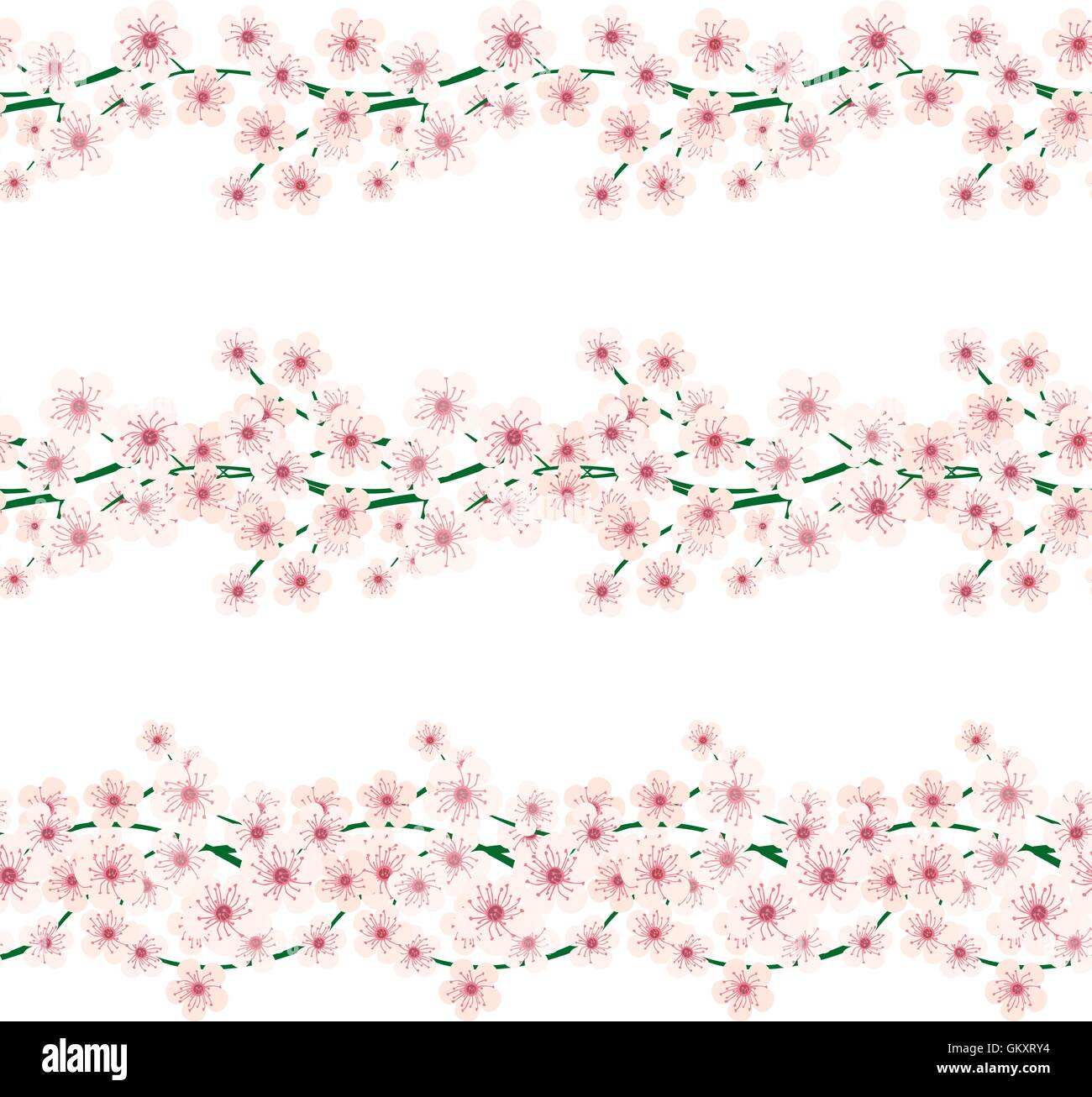 Flor de Cerezo fronteras Ilustración del Vector
