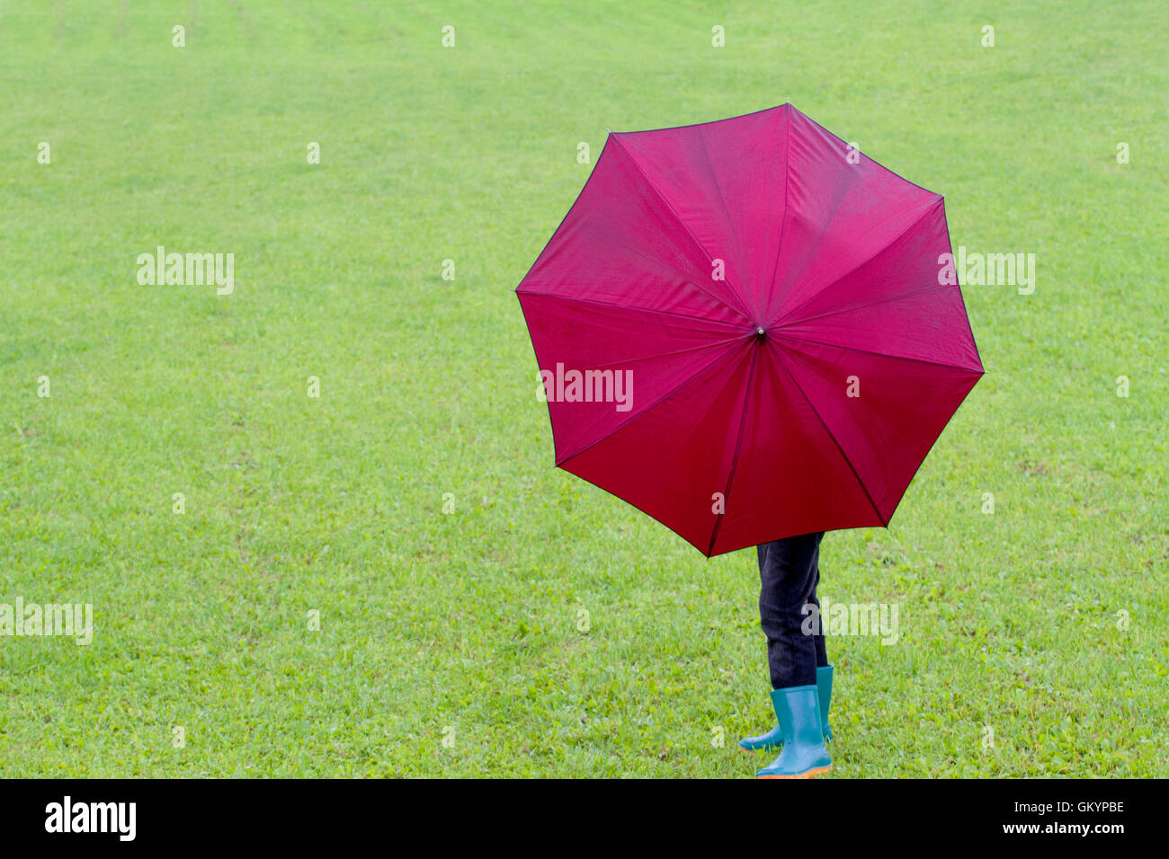 Little Boy la celebración de paraguas. La pasto verde de fondo. En el exterior. Vista posterior Foto de stock