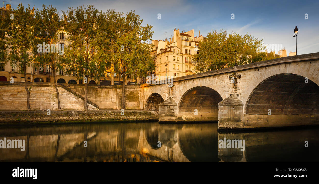 La luz del sol de la mañana en la Ile Saint Louis y Aspen árboles que bordean el río Sena banco por Pont Marie y Quai d'Anjou. París, Francia Foto de stock