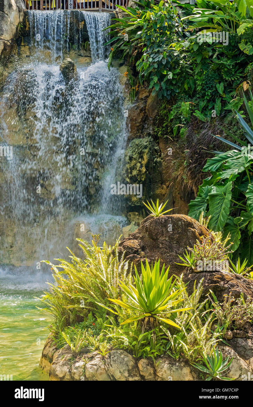 Cascada en el Jardín Botánico de Balata Guadalupe West Indies Foto de stock