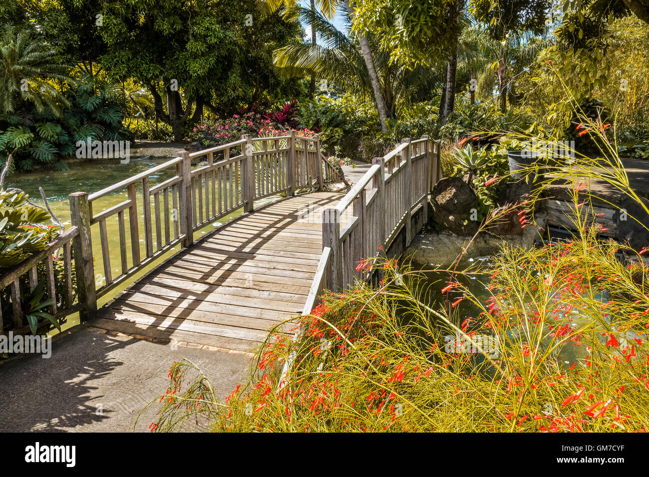Puente a través del curso de agua Jardín Botánico de Balata Guadalupe West Indies Foto de stock
