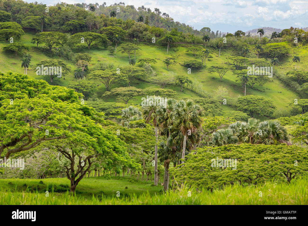 República Dominicana - paisaje de montañas, al norte de DR. Foto de stock