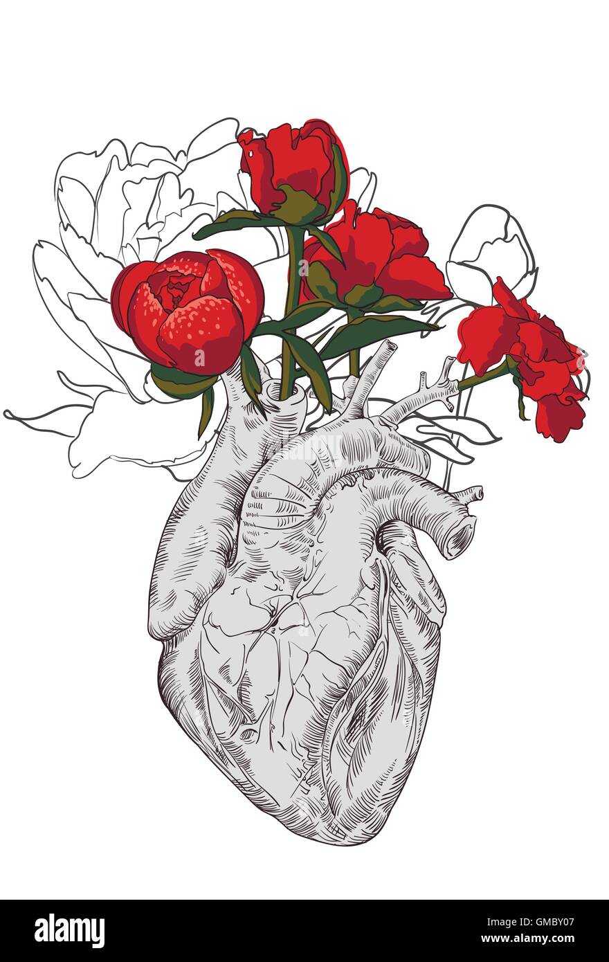 Dibujo del corazón humano con flores Imagen Vector de stock - Alamy