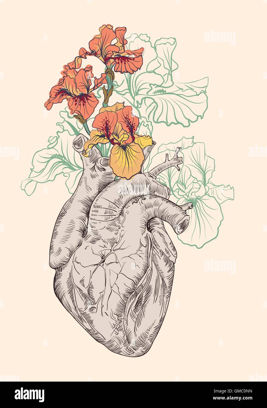 Dibujo del corazón humano con flores Imagen Vector de stock - Alamy