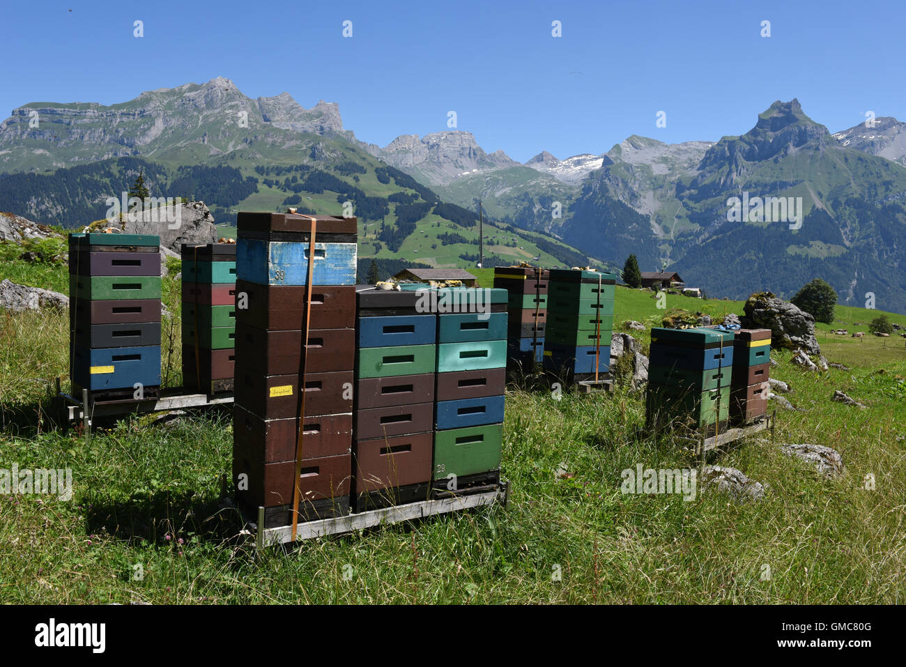Casas para la apicultura y la producción de miel en Engelberg en los alpes suizos Foto de stock