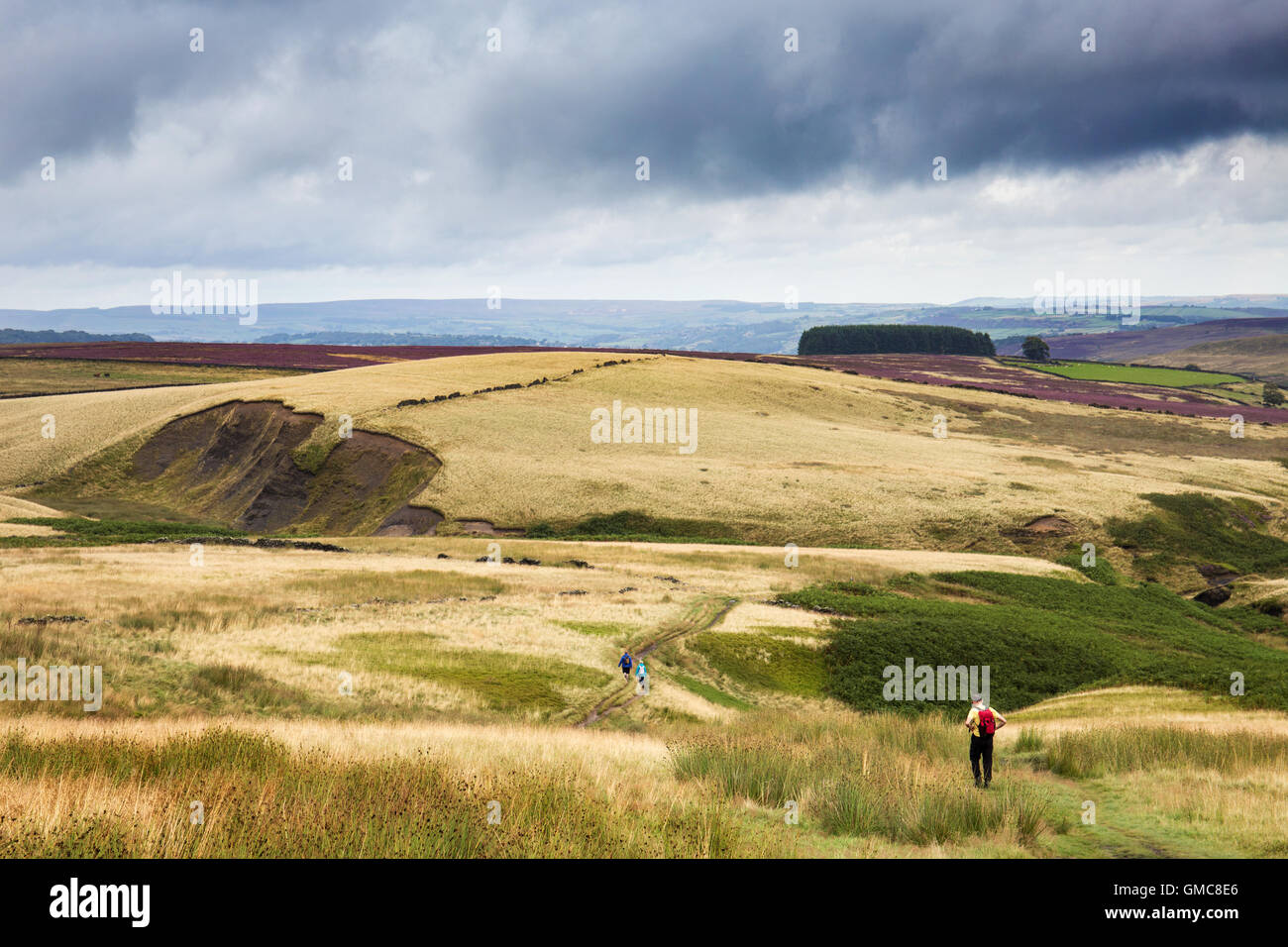 Paisaje de páramos con Walker, paisaje desolador, North Yorkshire, Reino Unido, Inglaterra Foto de stock