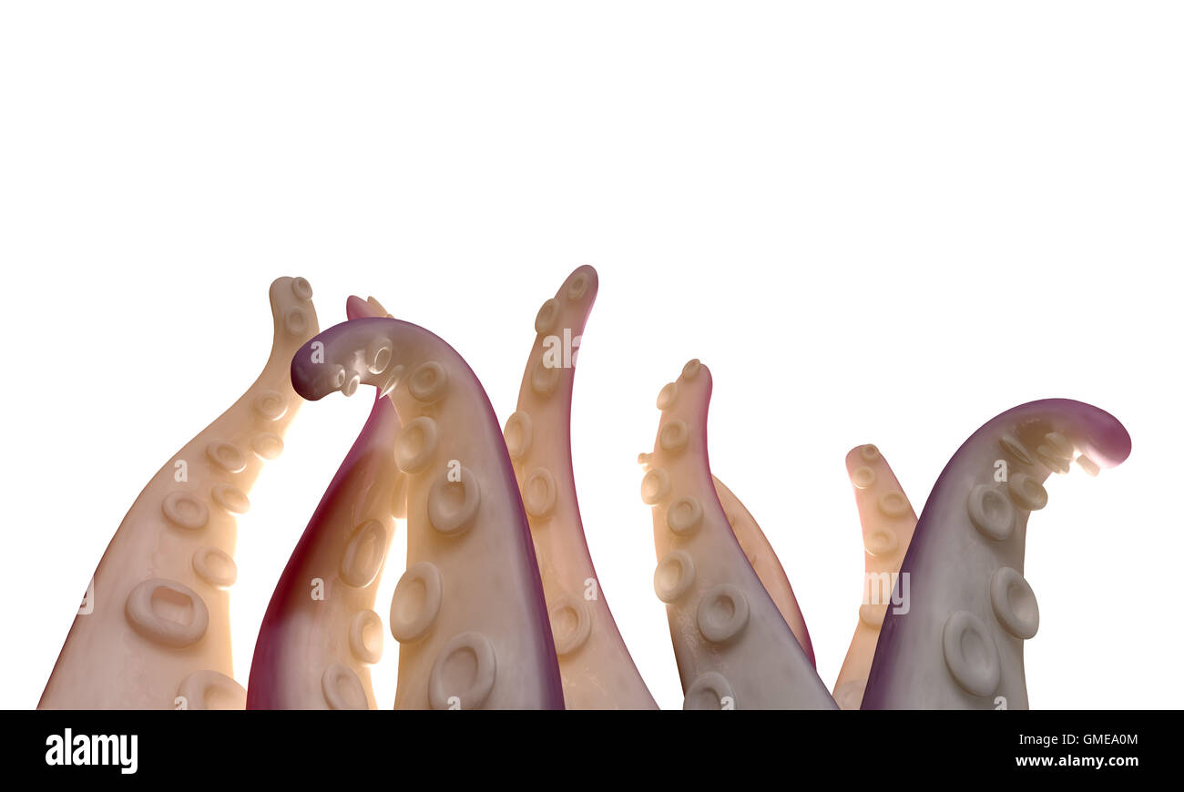3D Render de una pesadilla infantil creación de un pulpo como bestia con tentáculos que se dirigen hacia el cielo en una aislada studi blanco Foto de stock
