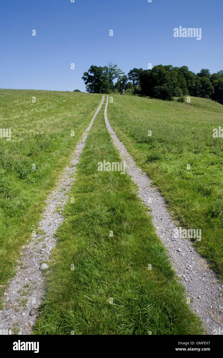 Vía a través de campo grande en Dinefwr Park Foto de stock