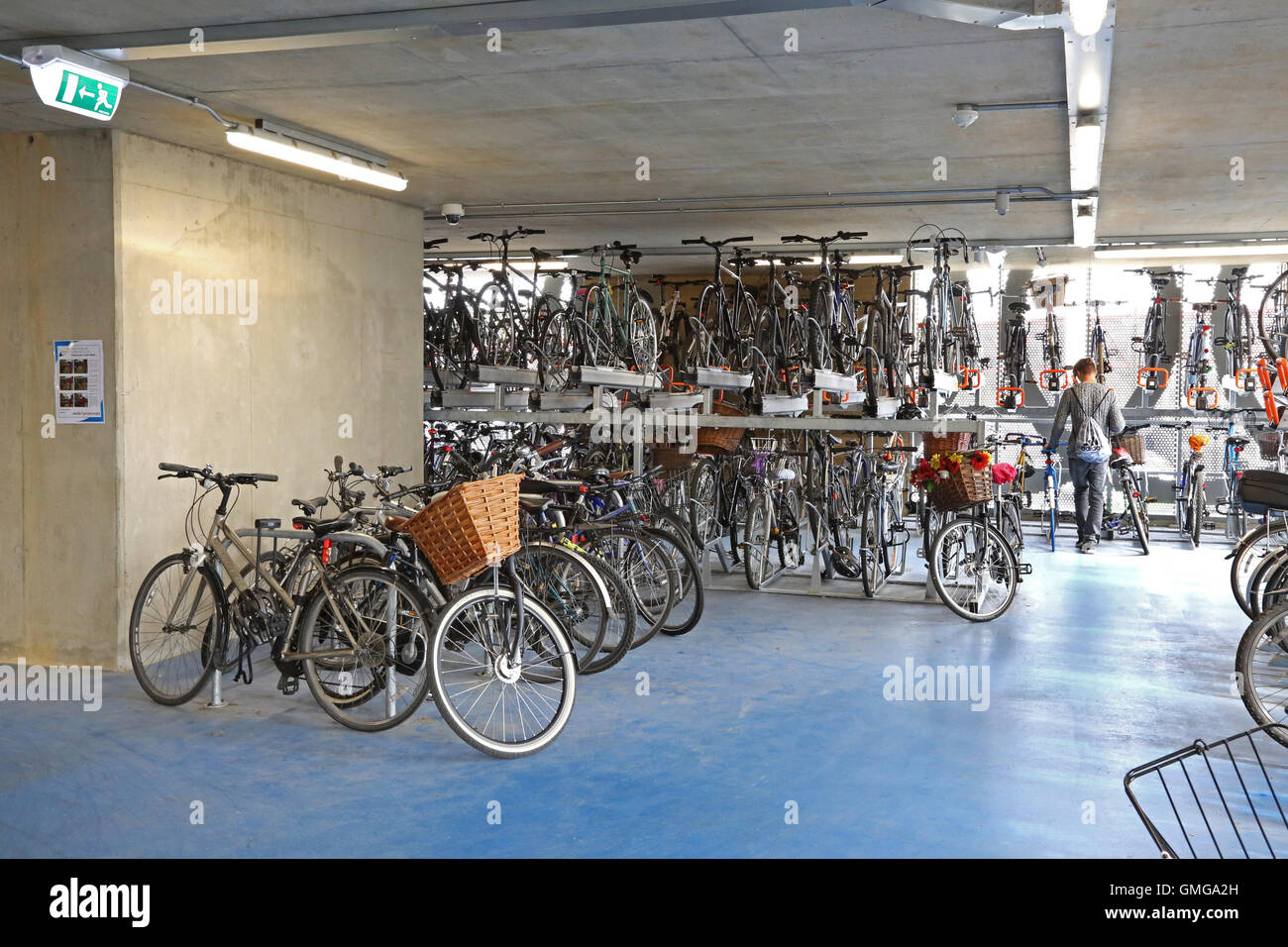 Un ciclista ruedas su bicicleta para encontrar un aparcamiento en un nuevo bike park de varios pisos en Cambridge, Reino Unido. Foto de stock