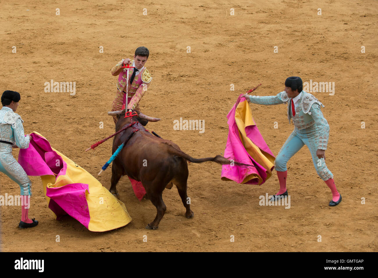 Corridas de toros españolas - 16 - Golpe de gracia, muerte del toro  Fotografía de stock - Alamy