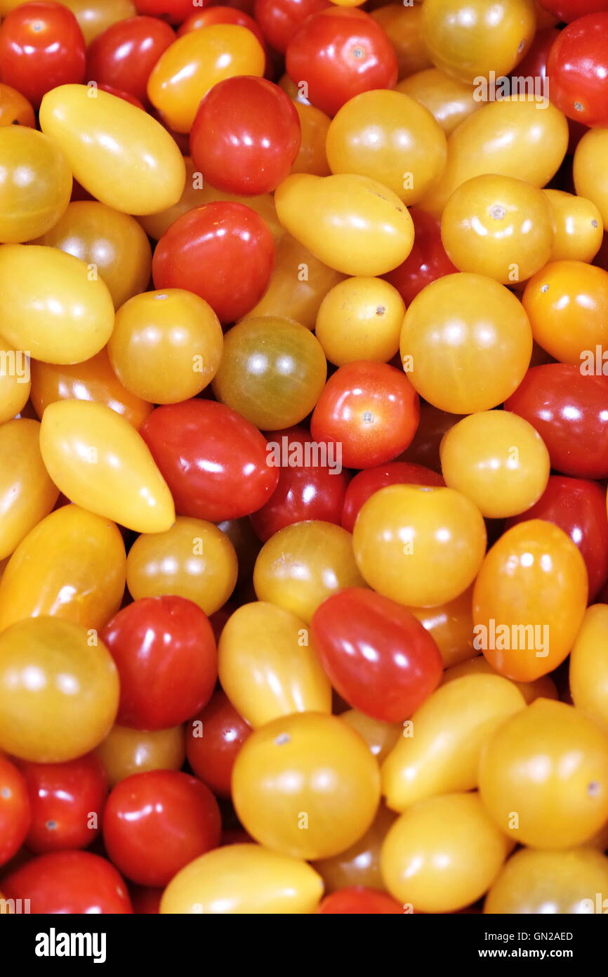 Amarillo, verde y rojo tomate Foto de stock