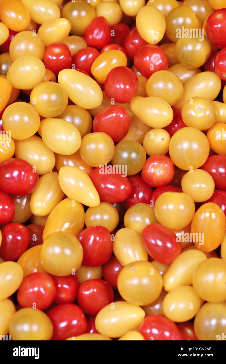 Amarillo, verde y rojo tomate Foto de stock
