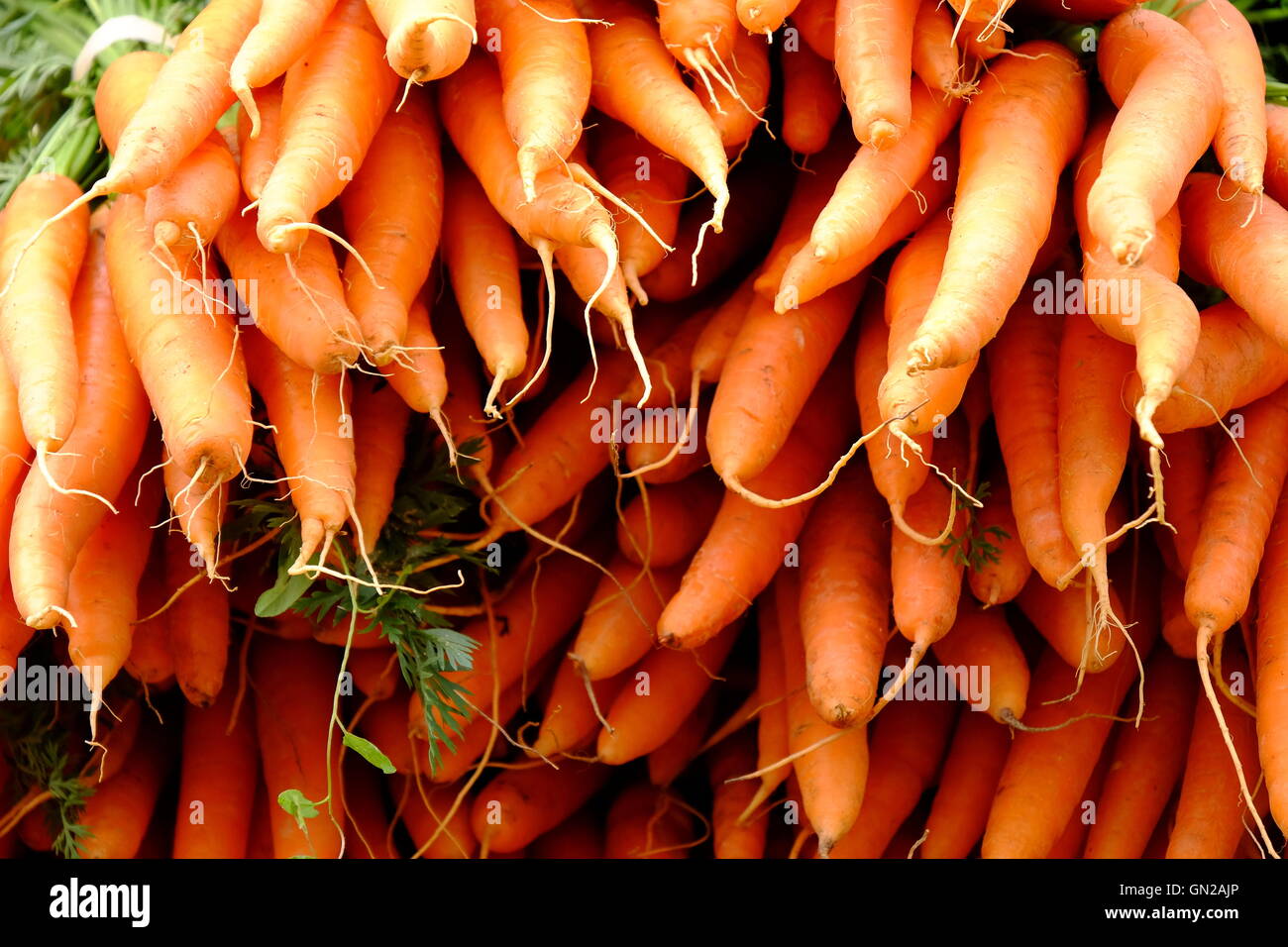 Gran anaranjado profundo manojos de zanahorias en el mercado en Francia. Foto de stock