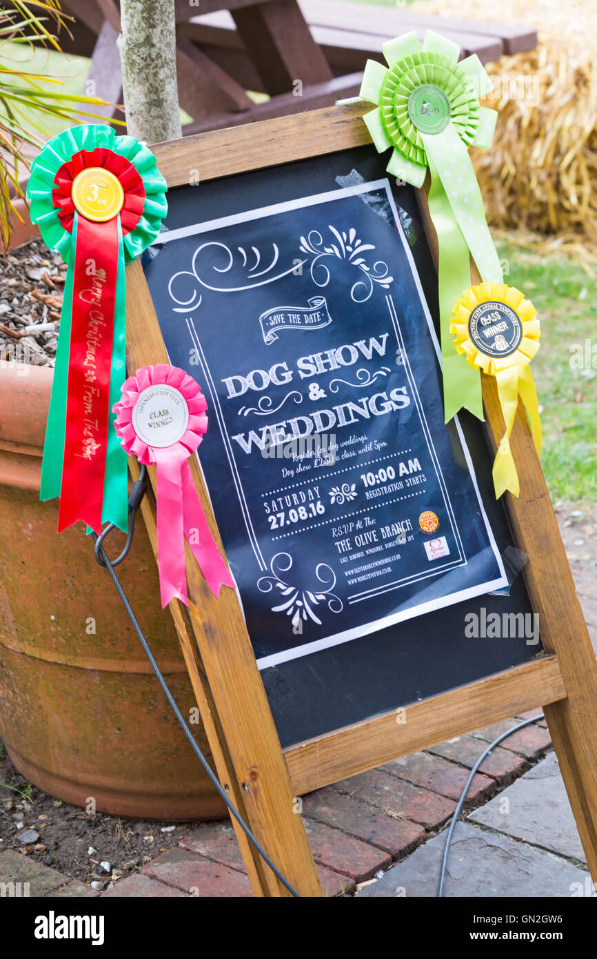 Wimborne, Dorset, Reino Unido el 27 de agosto de 2016. La rama de olivo en Wimborne sirve de anfitrión para ceremonias de boda de perros, como parte de su exposición canina. La 'pareja feliz' perros están invitados a llevar velo y sombrero de copa, como la "Boda votos' son leídos por una persona vestida con un collar de perro. Los cuadrúpedos 'par' Exchange trata de perro y el propietario presentó un certificado de matrimonio. Un ser humano será bridesmaid y otro vestido como el perro de oliva para saludar a los visitantes. Las donaciones son invitados a recaudar fondos para la BHF. Crédito: Carolyn Jenkins/Alamy Live News Foto de stock