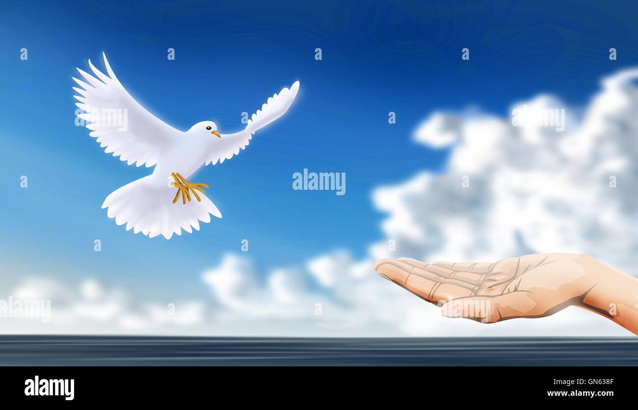 Liberar o bienvenido paloma, como signo pacífico Foto de stock