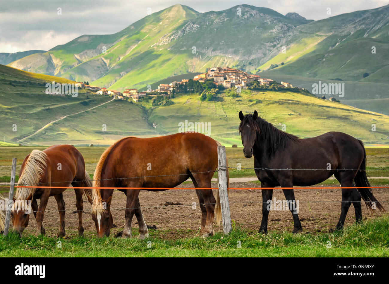 Castelluccio di Norcia (Umbría) Foto de stock