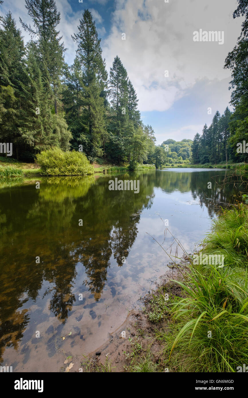 Soudley estanques en el Bosque de Dean, Gloucestershire, Inglaterra. Los bancos del río bordeada de árboles. El agua del río Claro. Verano Foto de stock