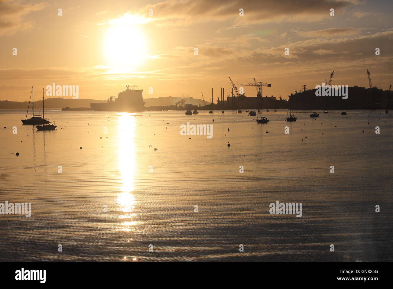 La luz de la mañana temprano en Falmouth Docks, Cornwall, Inglaterra, Reino Unido. Foto de stock
