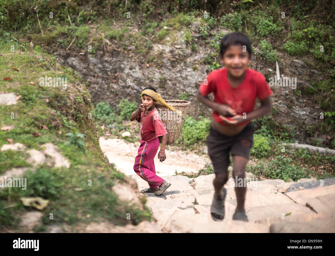 Retrato de niños en la aldea agrícola de Damdame en la región montañosa de Panchase, Kaski, Gandaki Pradesh, Nepal. Foto de stock