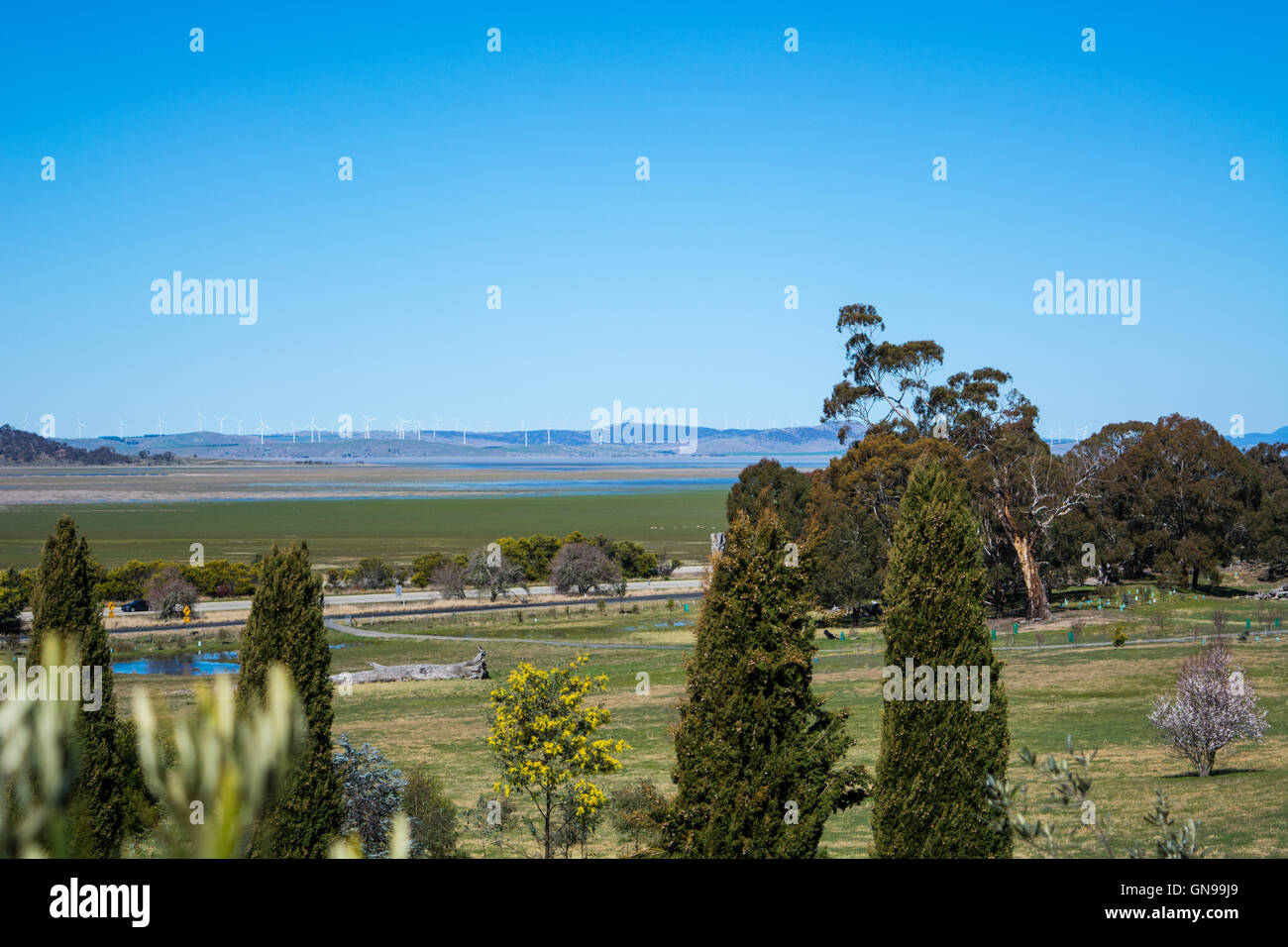 La vista desde Lérida Estate Wines hacia el Lago George al norte de Canberra. Foto de stock