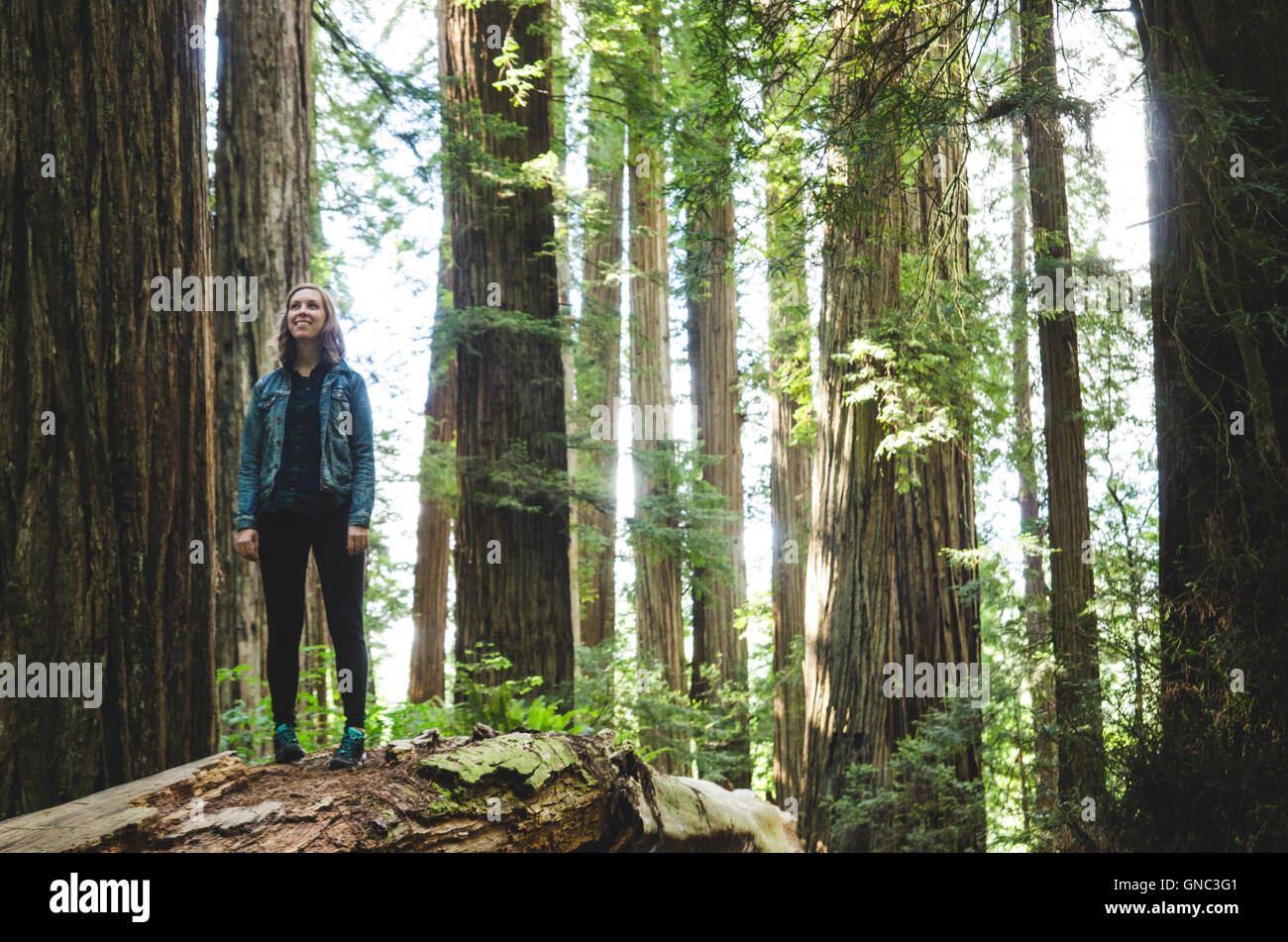 Mujer joven de pie sobre troncos de árboles caídos, Stout Grove, Jedediah Smith Redwoods State Park, California, EE.UU. Foto de stock