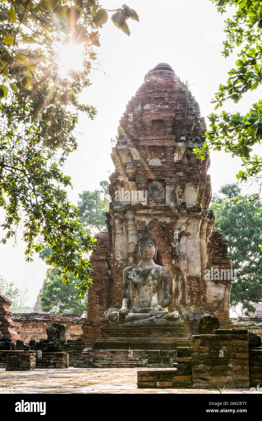 Estatua de buda sentado en la parte delantera de la pagoda bajo la luz del sol, rodeado por árboles y antiguas ruinas de Wat Phra Mahathat Foto de stock