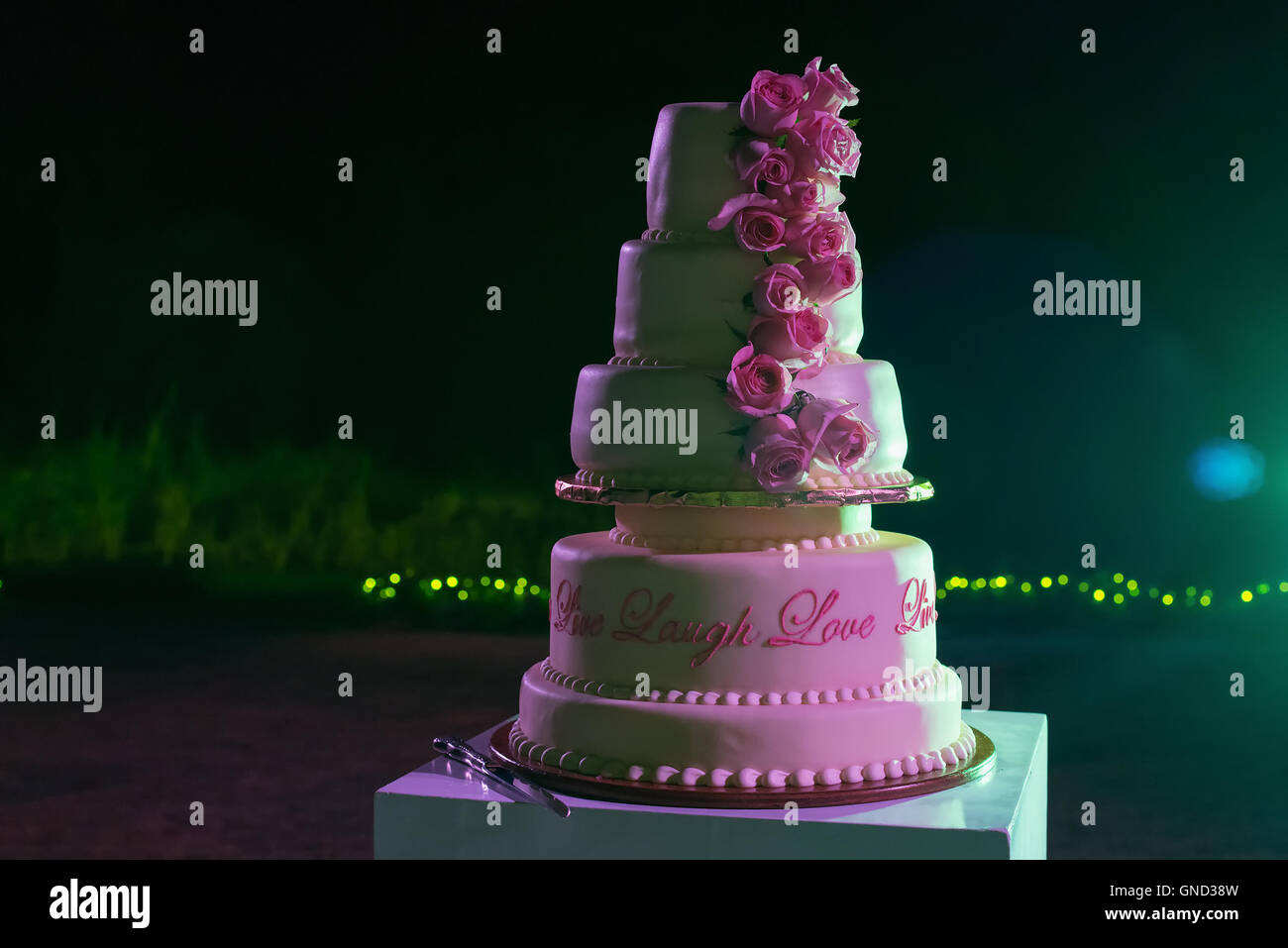 El pastel de boda blanco, decorado con rosas. El enfoque selectivo. Foto de stock