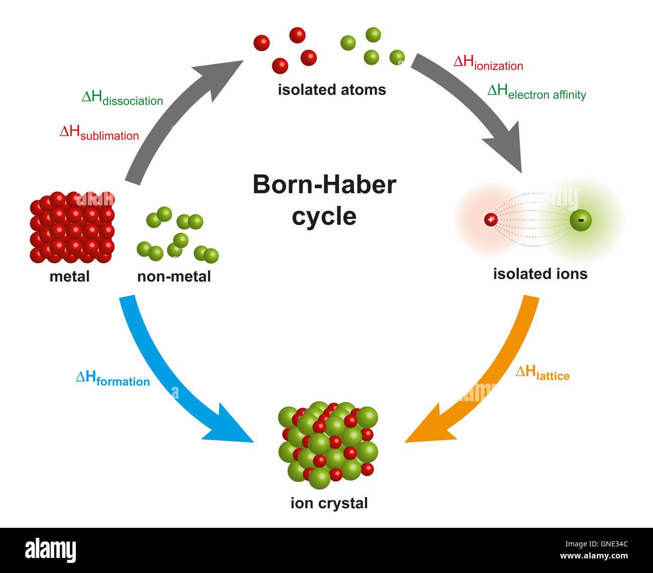 Ciclo de Born-Haber - Cálculo de estructura cristalina energía iónica  Fotografía de stock - Alamy