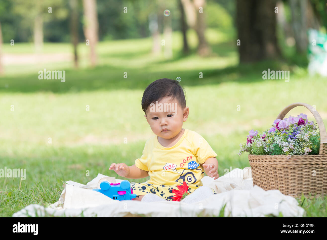 Asia Baby Boy en el pasto verde en el parque , Chiangrai Tailandia Foto de stock