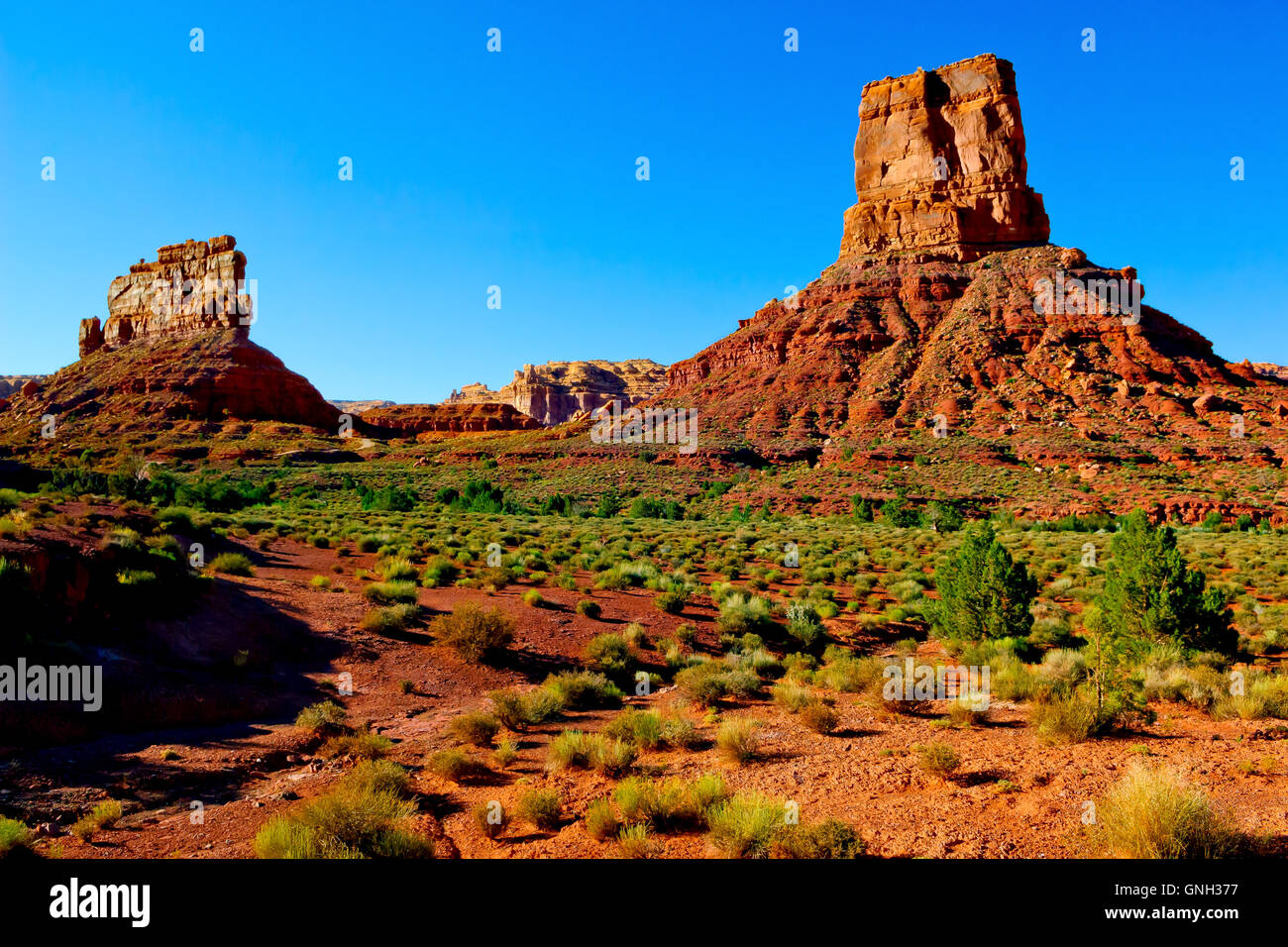 The Stone Locomotive and Castle Butte, Valley of the Gods, Utah, Estados Unidos Foto de stock