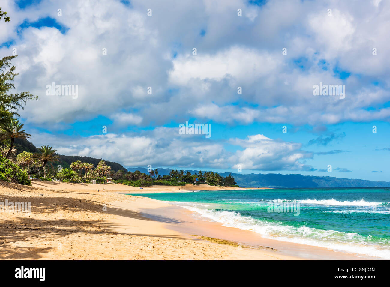 Sunset Beach, Costa Norte de la isla de Oahu, Hawaii, EE.UU. Foto de stock