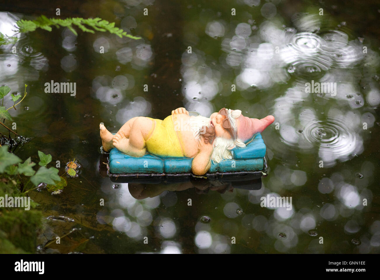 Gnomo de jardín relajante en el agua en su traje de baño Fotografía de  stock - Alamy